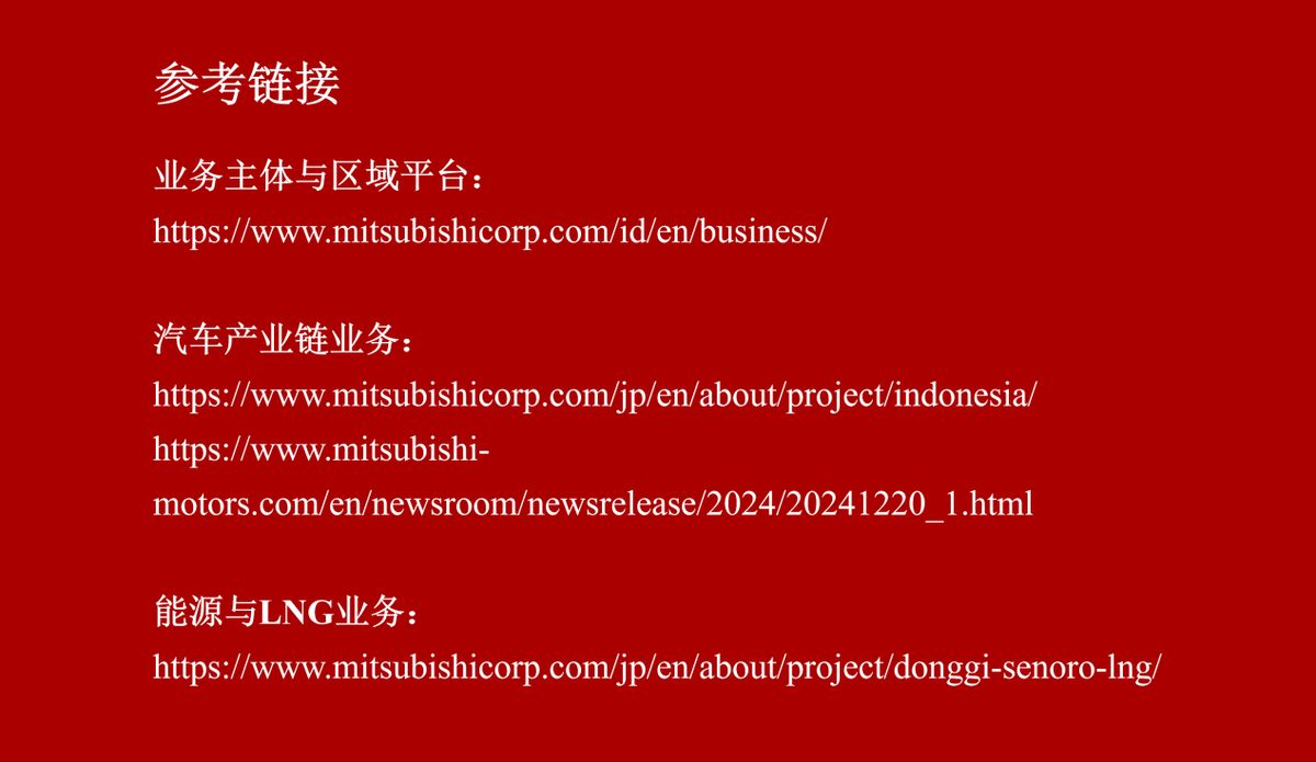 三菱商事产业地图-印度尼西亚（图片4）